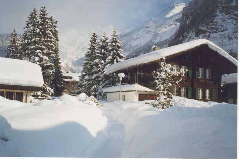 Familienferien Im Chalet Baergli Kandersteg Eksteriør billede